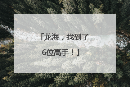 龙海，找到了6位高手！