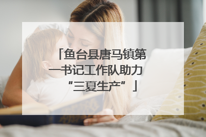 鱼台县唐马镇第一书记工作队助力“三夏生产”