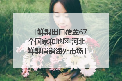 鲜梨出口覆盖67个国家和地区 河北鲜梨俏销海外市场