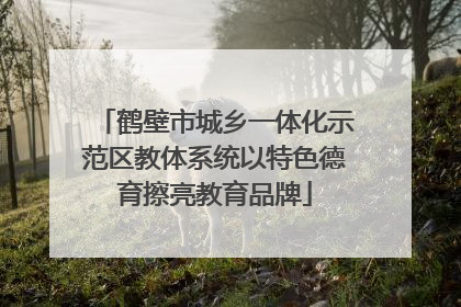 鹤壁市城乡一体化示范区教体系统以特色德育擦亮教育品牌