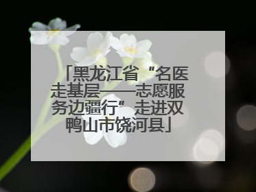 黑龙江省“名医走基层——志愿服务边疆行”走进双鸭山市饶河县