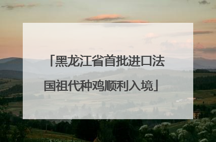 黑龙江省首批进口法国祖代种鸡顺利入境