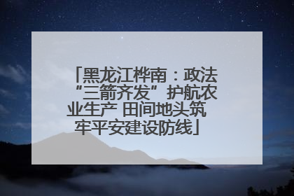 黑龙江桦南：政法“三箭齐发”护航农业生产 田间地头筑牢平安建设防线