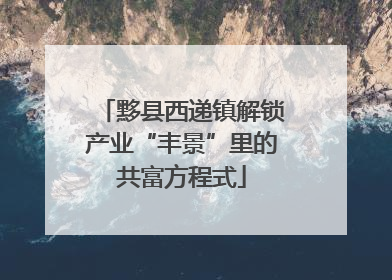 黟县西递镇解锁产业“丰景”里的共富方程式
