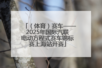 （体育）赛车——2025年国际汽联电动方程式赛车锦标赛上海站开赛