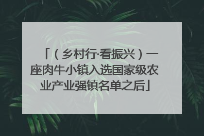 （乡村行·看振兴）一座肉牛小镇入选国家级农业产业强镇名单之后