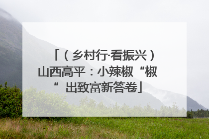 （乡村行·看振兴）山西高平：小辣椒“椒”出致富新答卷