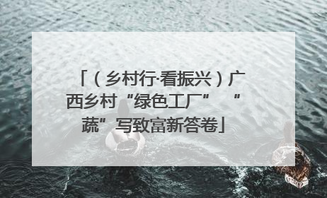 （乡村行·看振兴）广西乡村“绿色工厂” “蔬”写致富新答卷