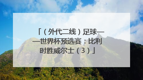 （外代二线）足球——世界杯预选赛：比利时胜威尔士（3）