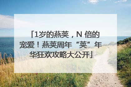 1岁的燕荚，N 倍的宠爱！燕荚周年“荚”年华狂欢攻略大公开