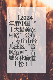 2024年度中国“十大最美农村路”公布，枣庄市台儿庄区“鲁风运河”古城文化廊道上榜！