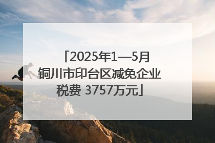2025年1—5月铜川市印台区减免企业税费 3757万元