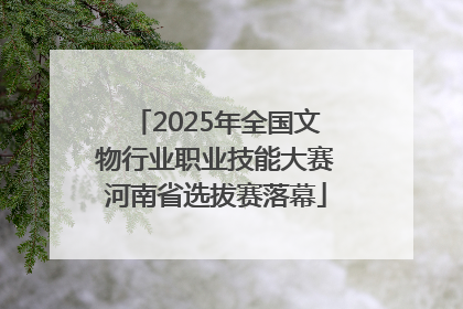 2025年全国文物行业职业技能大赛河南省选拔赛落幕