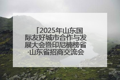 2025年山东国际友好城市合作与发展大会暨印尼楠榜省·山东省招商交流会在济南槐荫举行