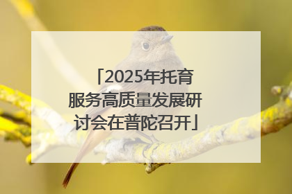 2025年托育服务高质量发展研讨会在普陀召开