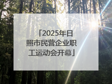 2025年日照市民营企业职工运动会开幕