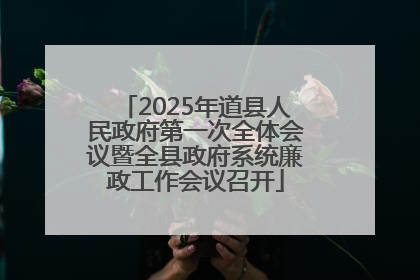 2025年道县人民政府第一次全体会议暨全县政府系统廉政工作会议召开