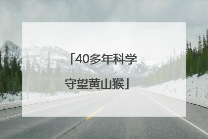40多年科学守望黄山猴