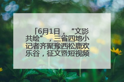 6月1日，“文影共绘”，三省四地小记者齐聚豫西松鹿欢乐谷，征文暨短视频大赛精彩启幕！