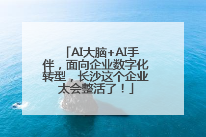 AI大脑+AI手伴，面向企业数字化转型，长沙这个企业太会整活了！