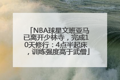 NBA球星文班亚马已离开少林寺，完成10天修行：4点半起床，训练强度高于武僧