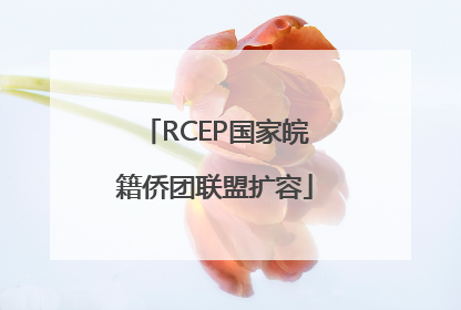 RCEP国家皖籍侨团联盟扩容